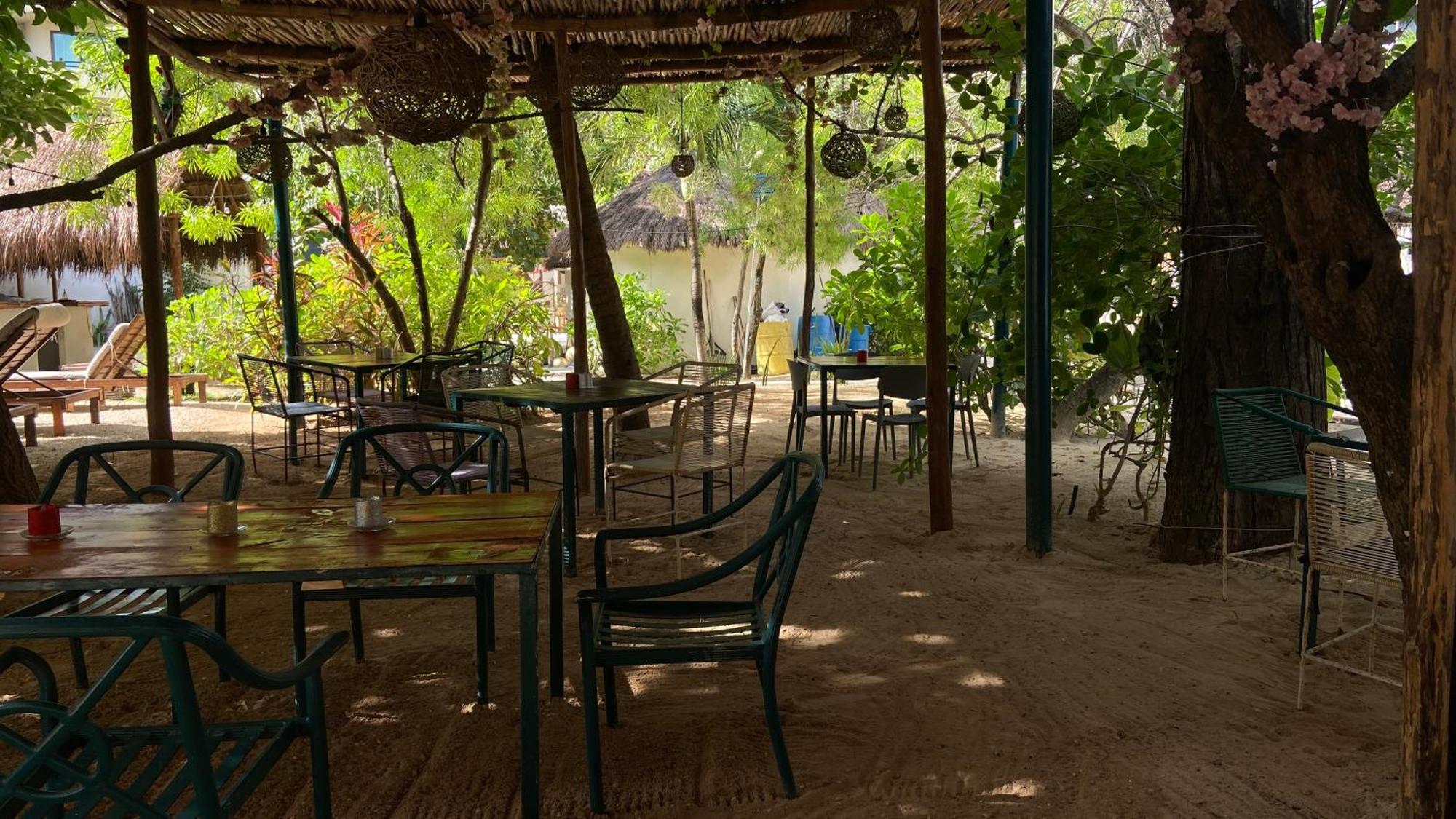 פלאייה דל כרמן Nature Stay (Adults Only) מראה חיצוני תמונה