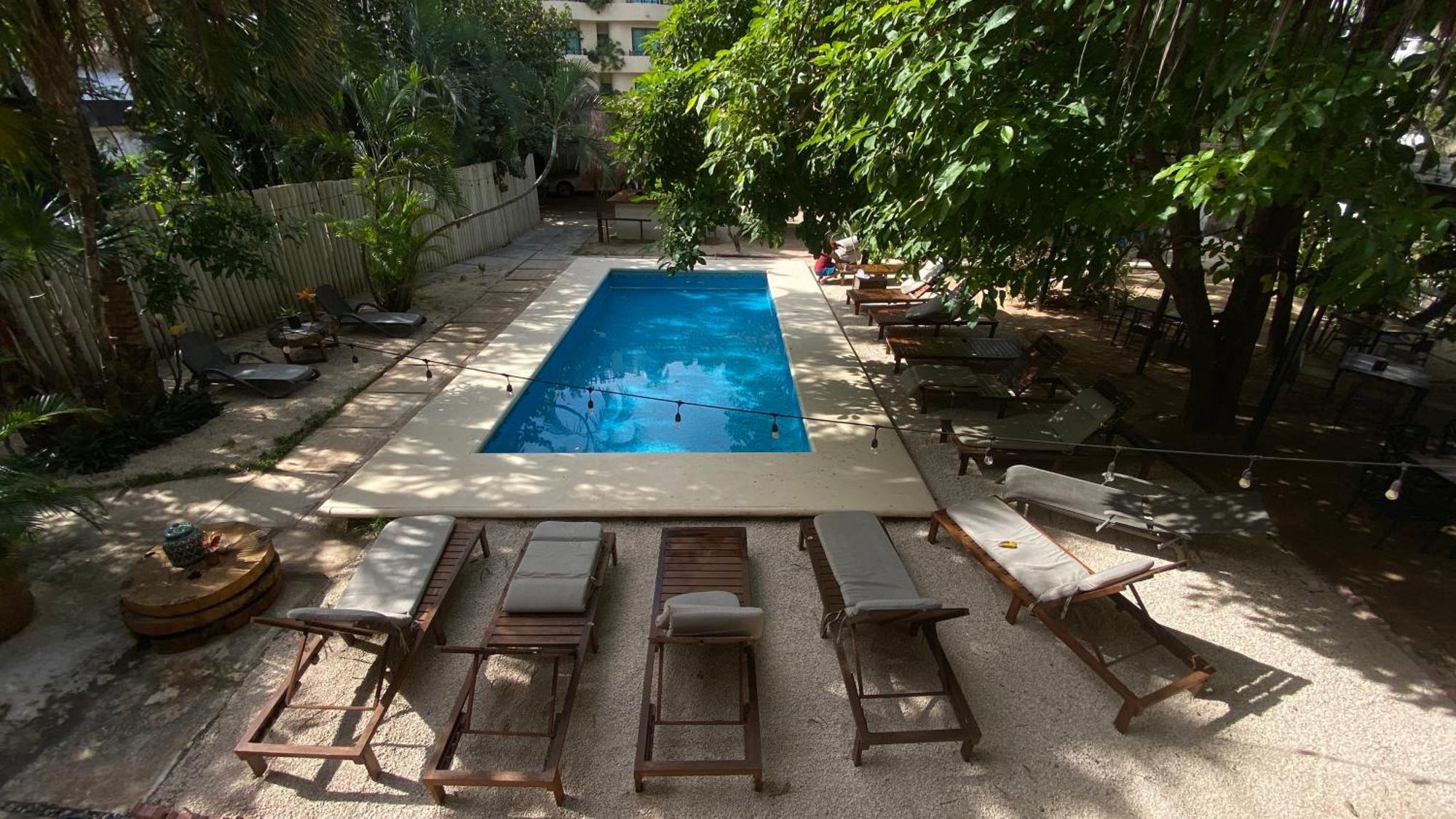 פלאייה דל כרמן Nature Stay (Adults Only) מראה חיצוני תמונה