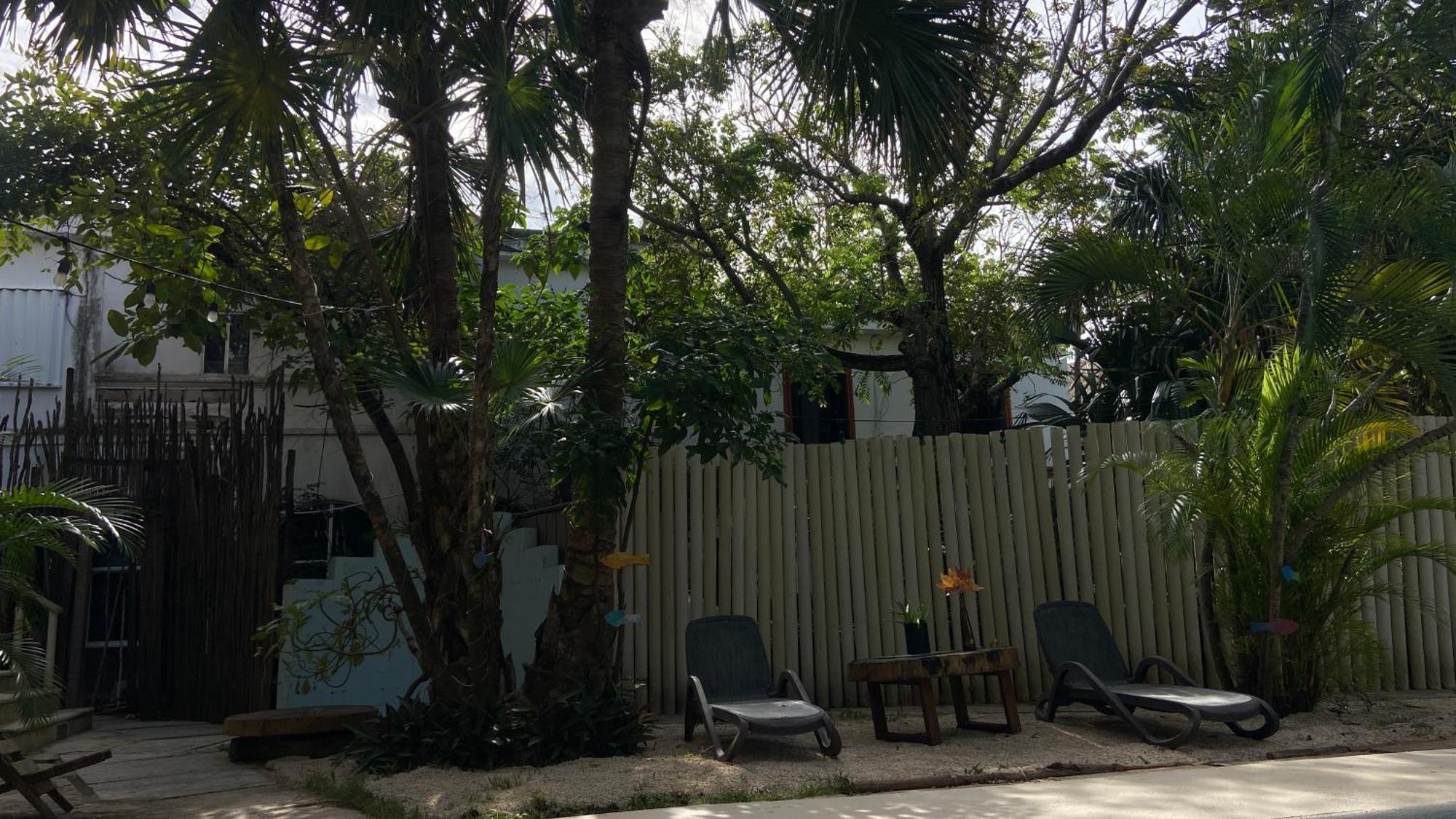 פלאייה דל כרמן Nature Stay (Adults Only) מראה חיצוני תמונה
