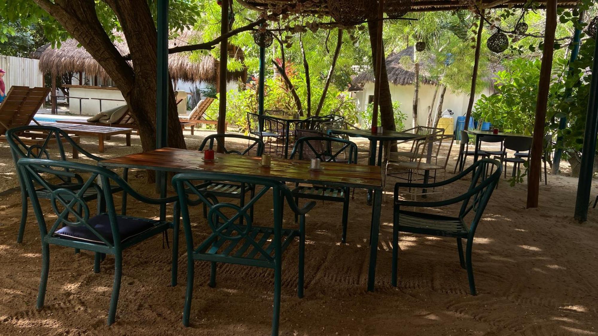 פלאייה דל כרמן Nature Stay (Adults Only) מראה חיצוני תמונה