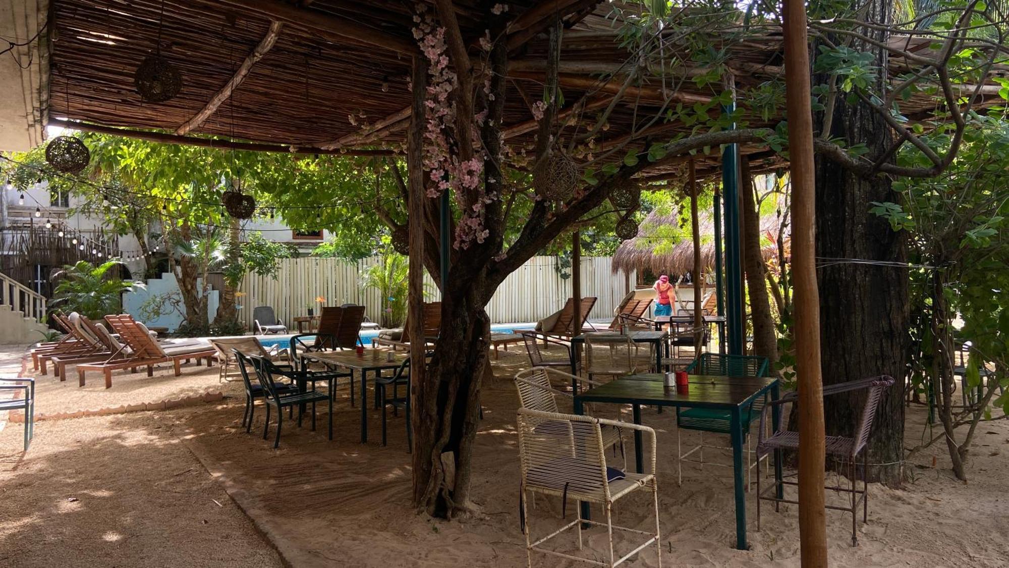 פלאייה דל כרמן Nature Stay (Adults Only) מראה חיצוני תמונה