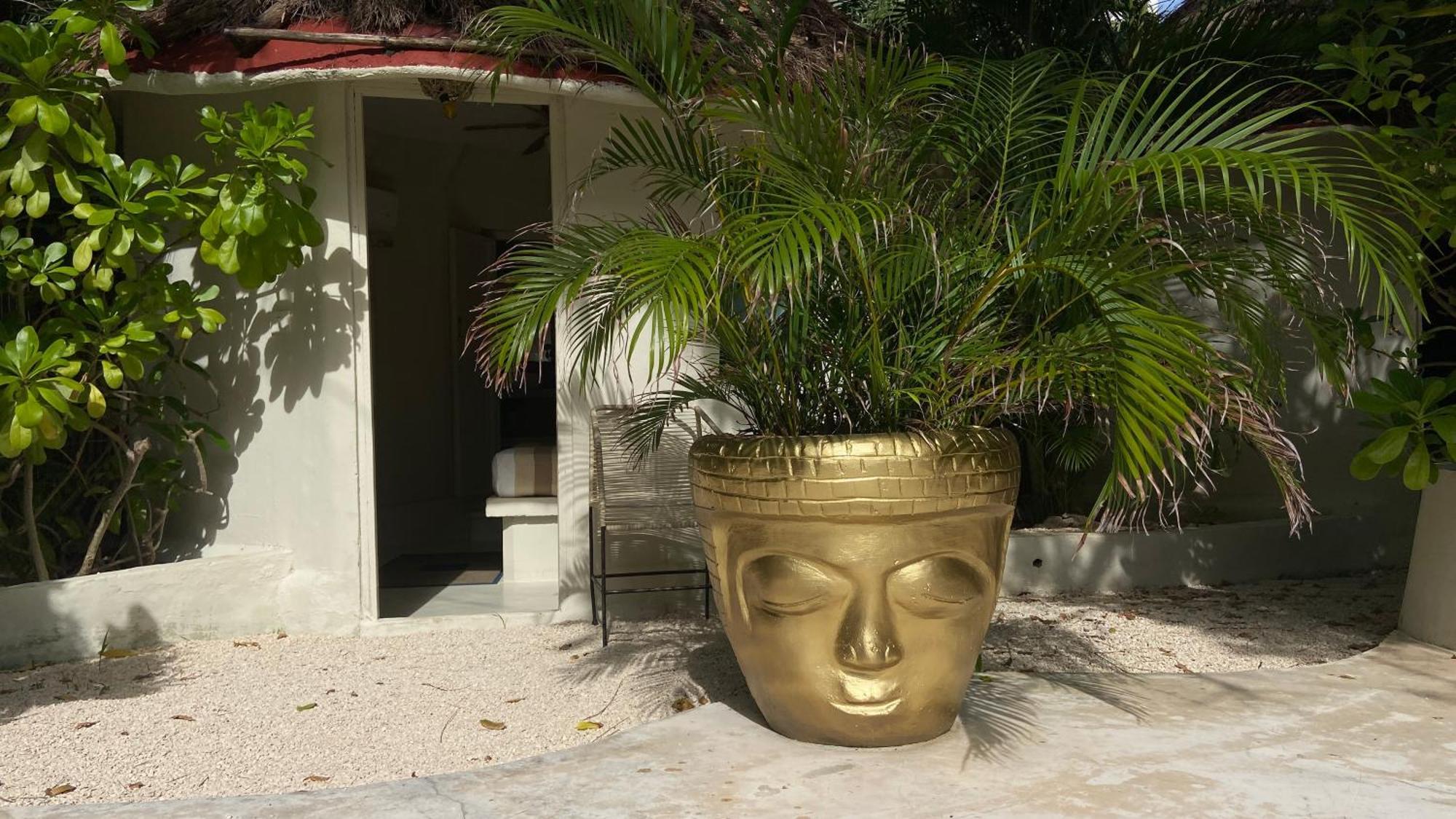 פלאייה דל כרמן Nature Stay (Adults Only) מראה חיצוני תמונה