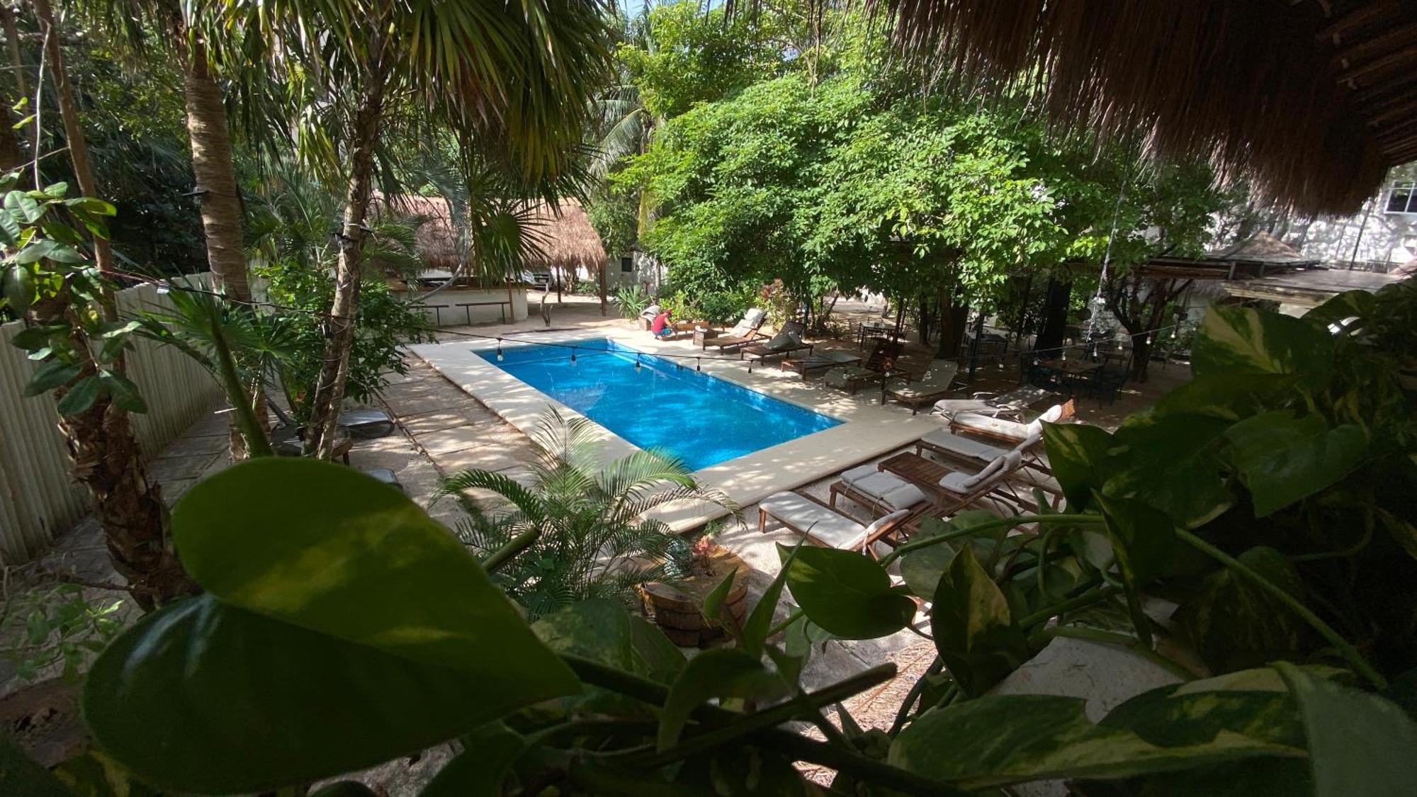 פלאייה דל כרמן Nature Stay (Adults Only) מראה חיצוני תמונה