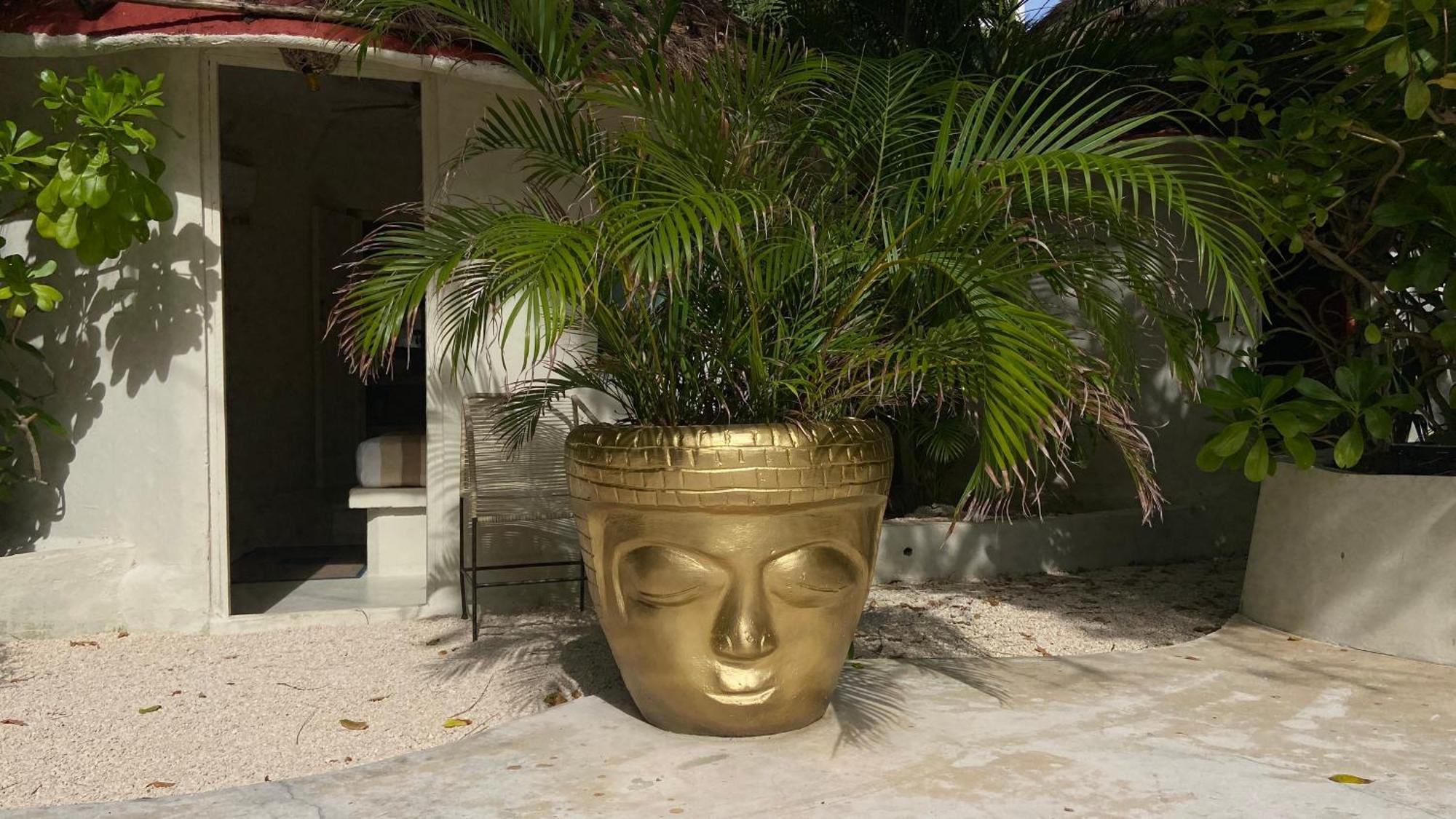 פלאייה דל כרמן Nature Stay (Adults Only) מראה חיצוני תמונה