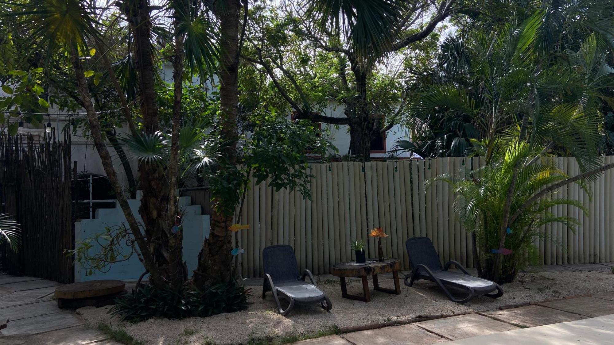 פלאייה דל כרמן Nature Stay (Adults Only) מראה חיצוני תמונה
