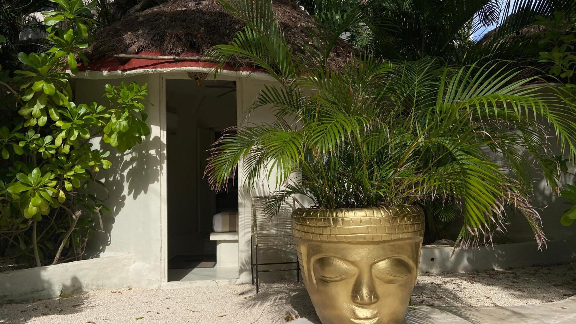 פלאייה דל כרמן Nature Stay (Adults Only) מראה חיצוני תמונה