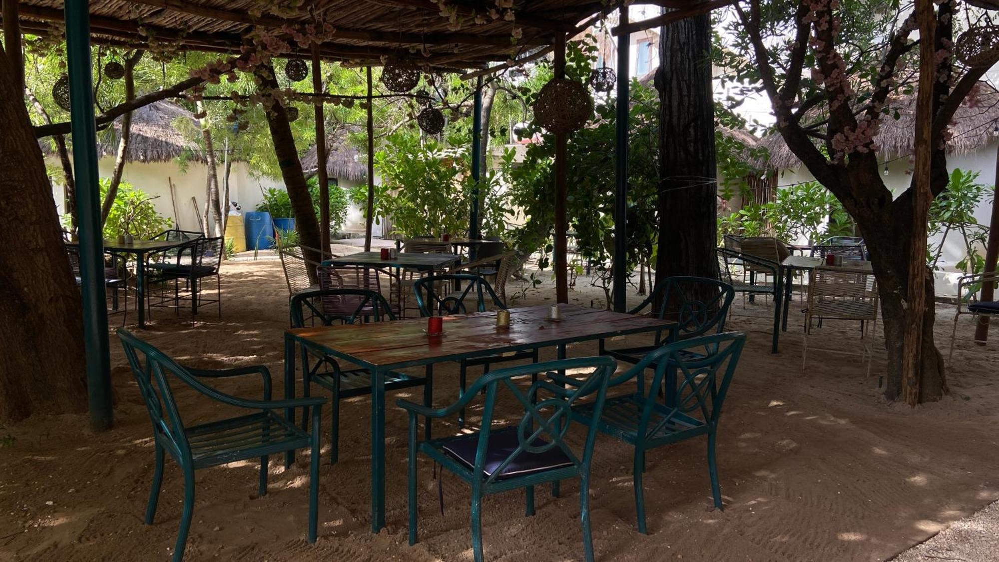 פלאייה דל כרמן Nature Stay (Adults Only) מראה חיצוני תמונה